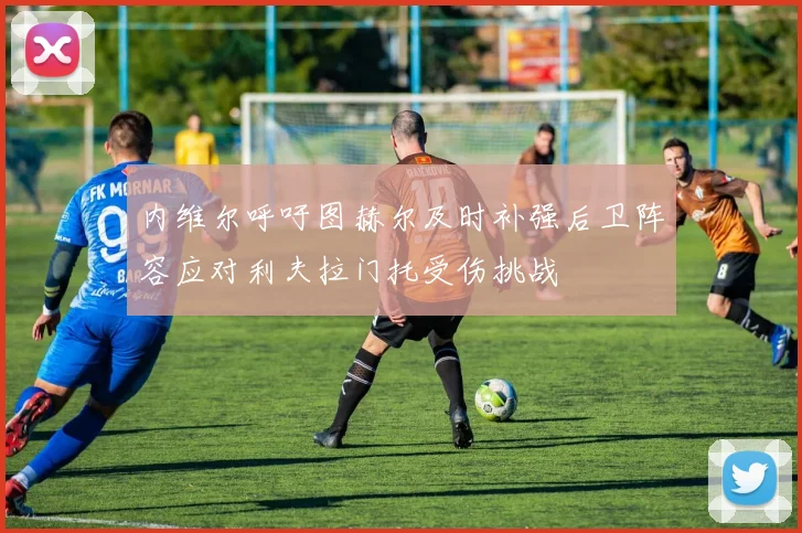 内维尔呼吁图赫尔及时补强后卫阵容应对利夫拉门托受伤挑战