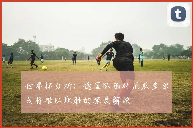 世界杯分析：德国队面对厄瓜多尔或将难以取胜的深度解读