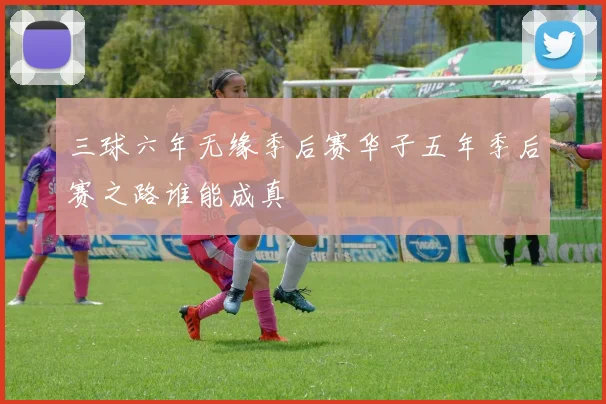 三球六年无缘季后赛华子五年季后赛之路谁能成真